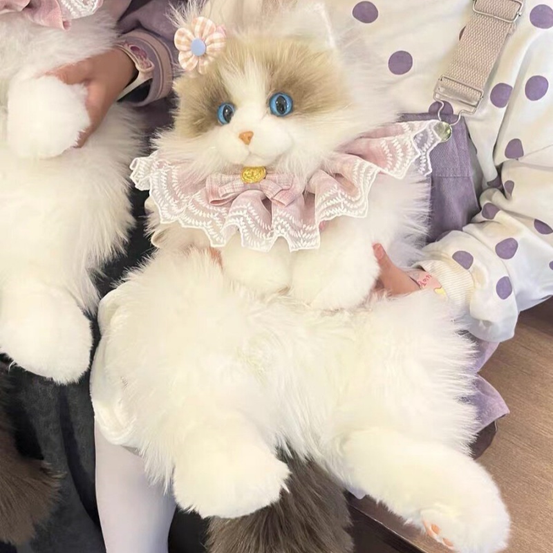 2026 Yeni Stokta Ragdoll Kedi  - Travel Accessories Ideas incelemesi ve fiyatı