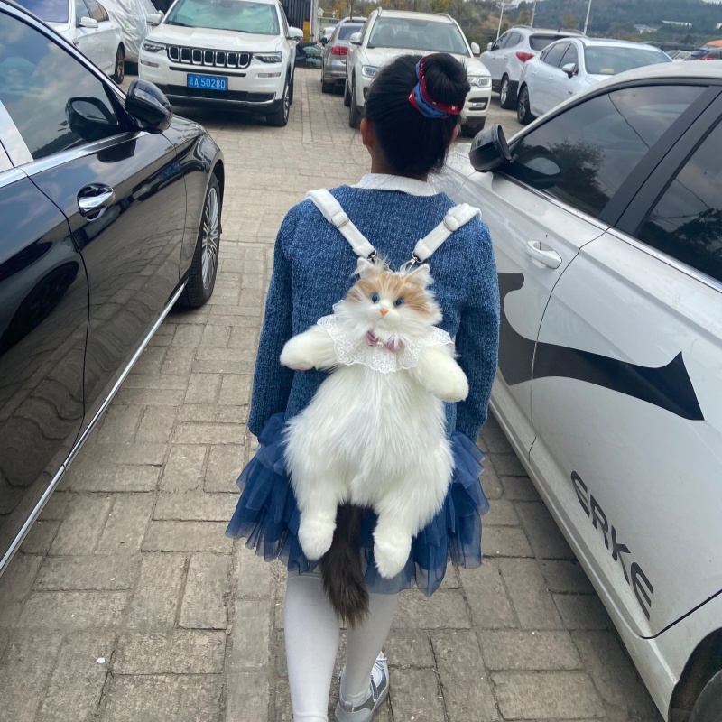 2026 Yeni Stokta Ragdoll Kedi  - Travel Accessories Ideas incelemesi ve fiyatı