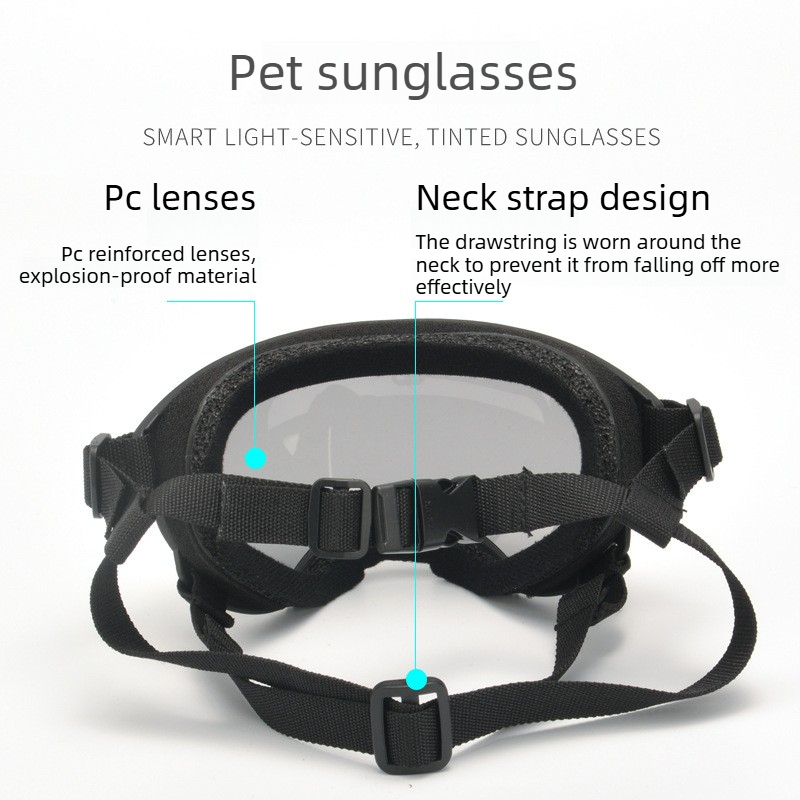 Evcil Hayvan Gözlükleri Rüzgar - Travel Accessories Ideas incelemesi ve fiyatı